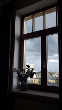 Nice Day