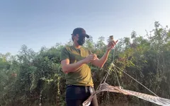 Mientras espera que el viento vuele un gatito