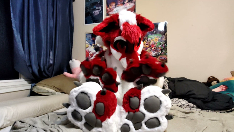 PawgrammerSocks: Jerking off and Showing Footpaws in Full-body Fursuit