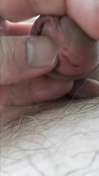 Voo De Câmera Sobre a Barriga Peluda De Urso