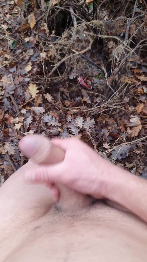 Timmyboy: Timmyboy aku pergi untuk lari di hutan dan aku jadi...