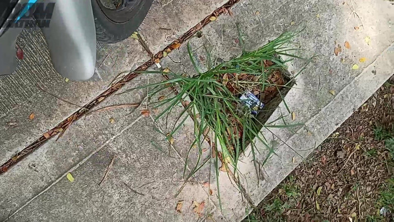 Smoker Master: 大卫大师的米达斯尿精选集