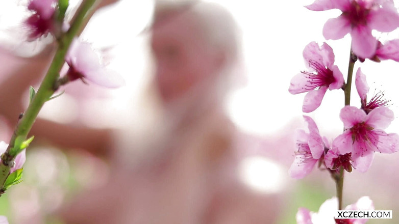 XCZECH: Sharon Cherry - Rozkvetlá třešeň - Prémie