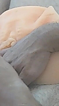 Noc