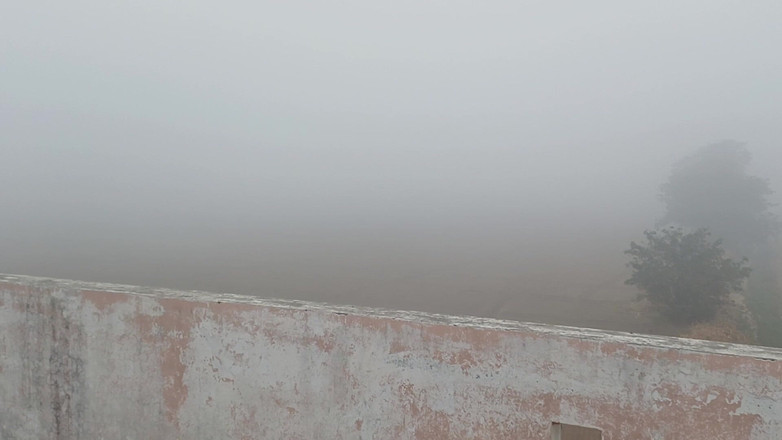 Austin Rose: Bố Ấn Độ Cởi Bỏ Quần Áo Trong Sương Mù Mùa Đông Đóng Băng