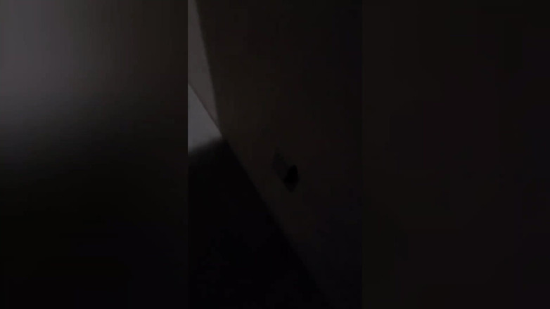 Danielle Renae: Selepas keluar malam, Danielle membawa seorang lelaki bertuah pulang dan...