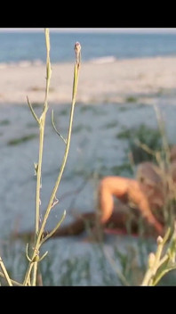 Couple Caught on Camera Having Sex on the Beach