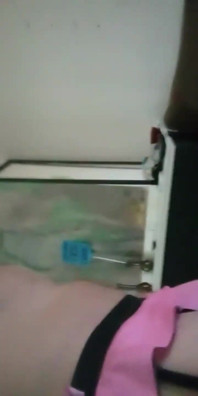 Nice Anal