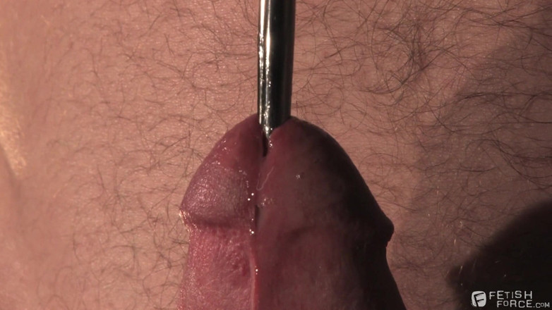 Fetish Force: ウェットパンクの音