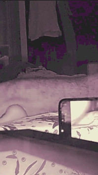 Ella dijo que no anal pero él no toma no por respuesta - parte 6