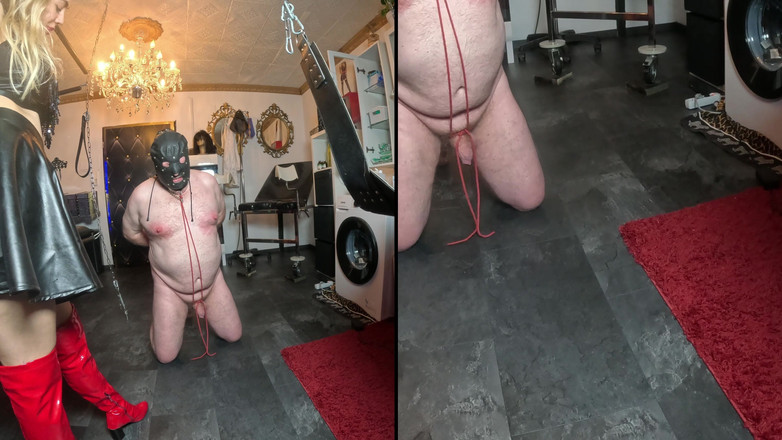 Queen_of_BDSM: 네 고환은 네 주인을 위해 고통을 견뎌야 해!