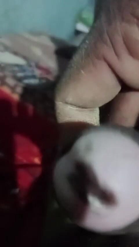 Sexy rekha: Corrida, compilación volumen 23
