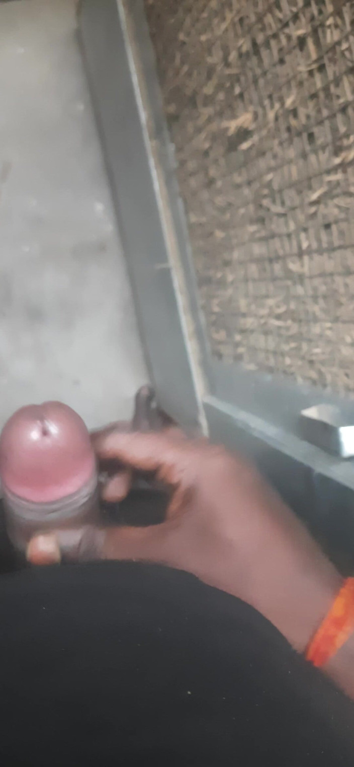 JoyfulPaw60: Saya melancap hari ini.