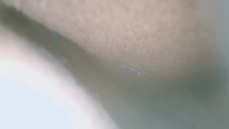 PARAMANANDA: マイ・ライフ・ワイフ・ナイト