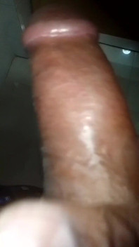 Vid_2025