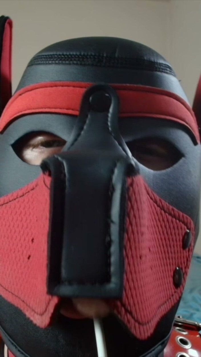 Alex GoodBoy: Pup Sucks His Lollipop up Close