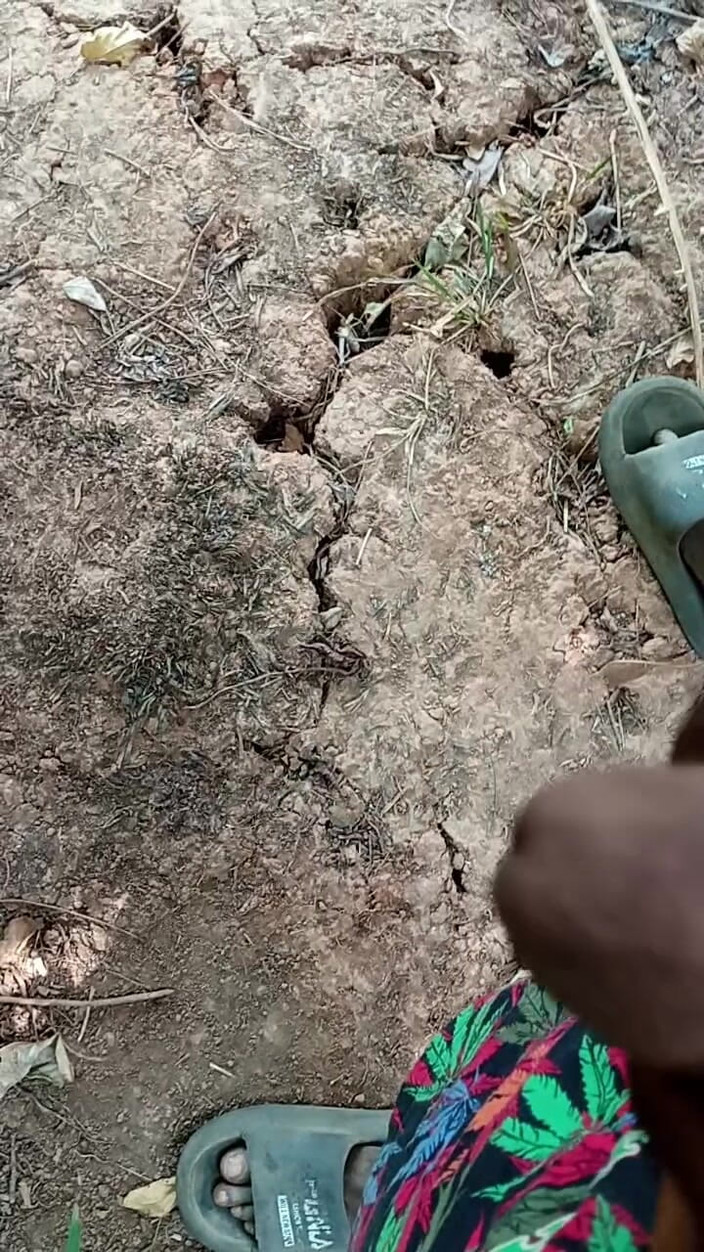 Kpekus arena: Африканський хлопець мастурбує всередині куща