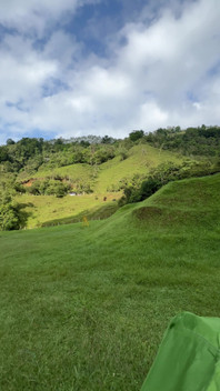A Beautiful View