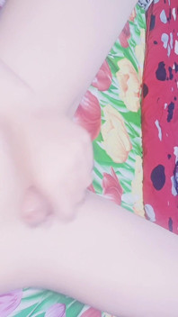 Stroking My Cock