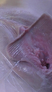 3 Lecca Vagina Allargata Lontano Da Molto Vicino
