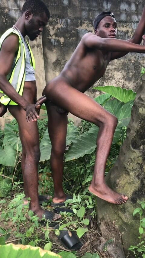 Sexydaddy: Buitenseks achter de palmboom is de boerderij