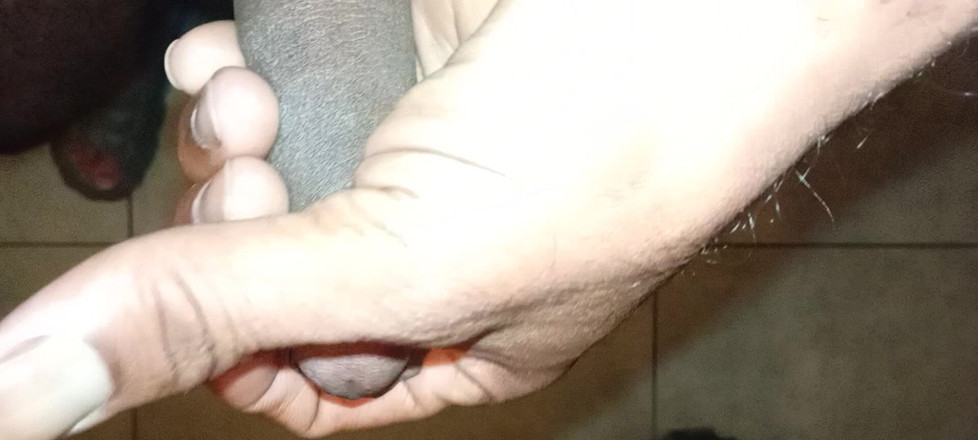 Kejken87: Relajarse con la mano sola en el baño