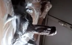 Both Rooms Best Penis