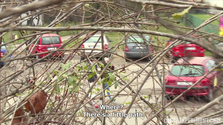 Czech Experiment: Czech Experiment 6: Petra Fucks a Guy in Bushes