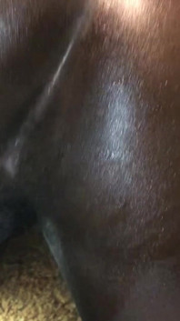 Black Booty Wants BBC