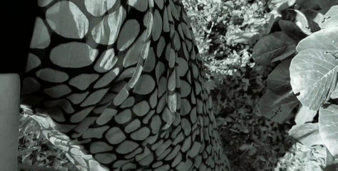 Hemant sarita: Vzala mě do lesa, řekla, šukej mě, Rajaji, cítím se velmi