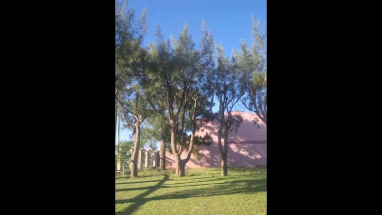 Priscila: Stepmother in a Bikini in the Garden of the House...