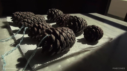 Queen Snake: Pinecones inuti min våta fitta