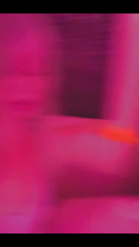 Not Invited Sir Stinkbug