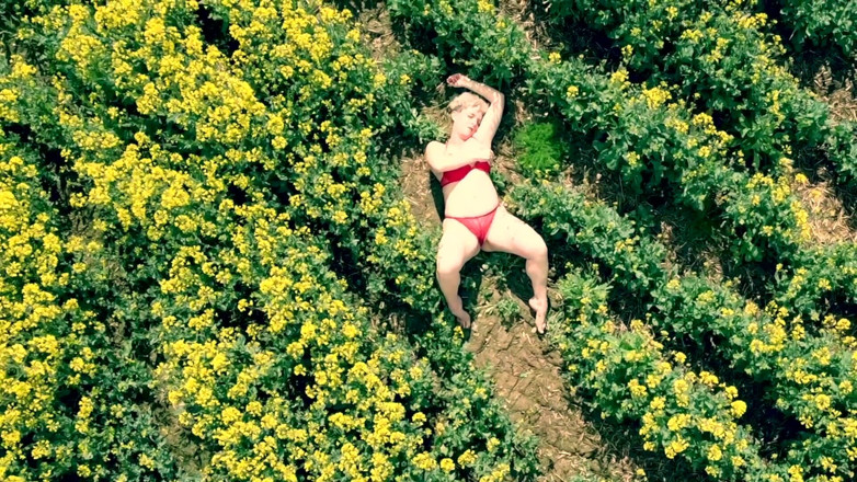 Kylie Britain Adventures: Pohled na ptáky