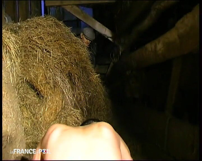 French Family Secrets: A Rustic Berkelah Untuk Chic Bagus Miss Good Kind