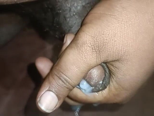 LegalVector8: Melancap