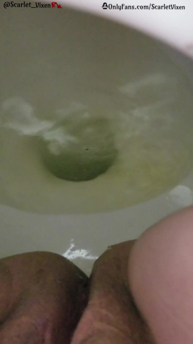 Desperate Redhead & the Public Toilet (Scarlet Vixen)
