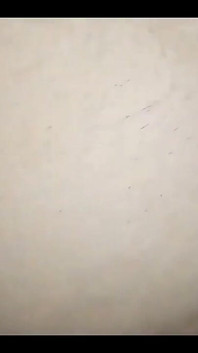 Desi vriendin hete dans in de slaapkamer