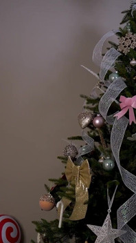 Collared for Christmas