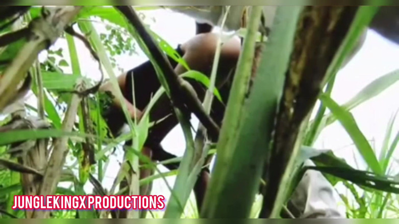 Junglekingxxx: Slender Girl in the Jungle