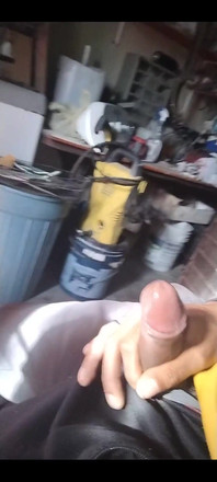 3131697031.mp4