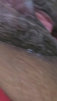 Frango Assaso Anal