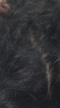Priya Rohit Sexuální chemie