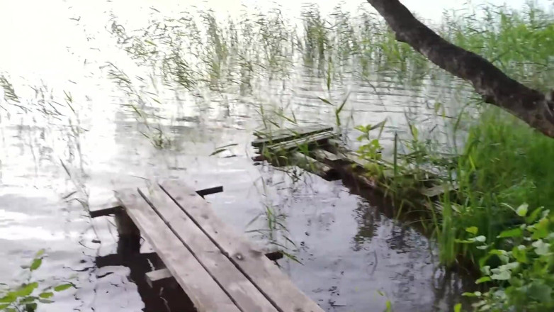 thelazycouple: Stiefschwester-arsch mit meinem sperma auf dem see gefüllt