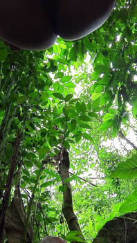 Selva se masturba, eu preciso sair para tesão
