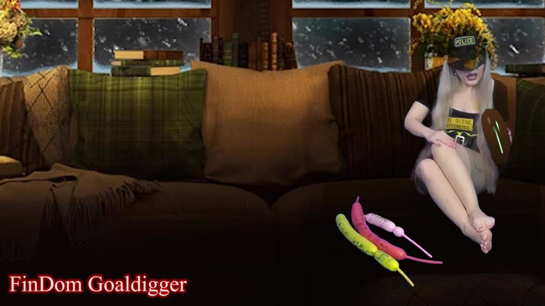 FinDom Goaldigger: Cyber CEI