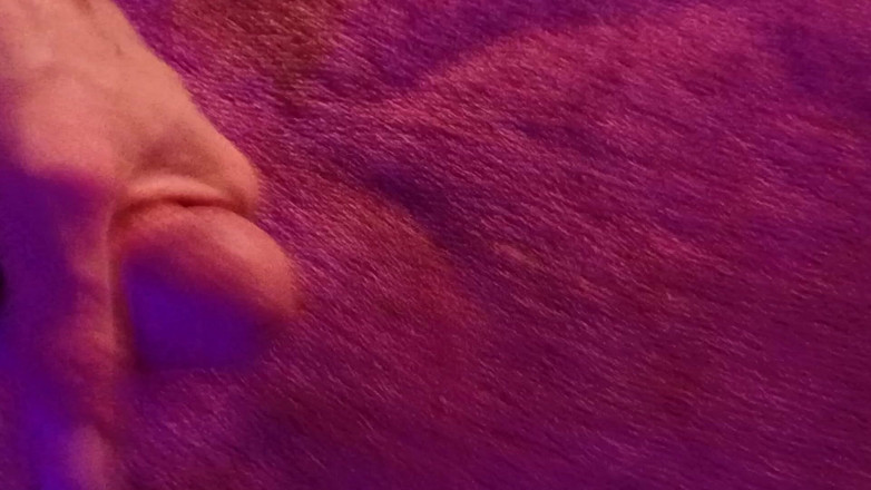DeepthroatCumslut: Mi sego il mio grosso cazzo duro per te