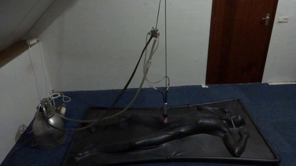 NL Milking: Vacbed sağım