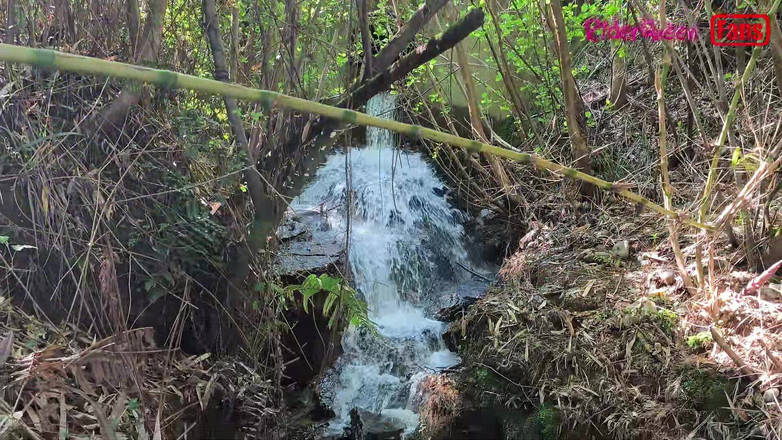 Riderqueen: Pengembaraan Perjalanan, Video Untuk Peminat Saya