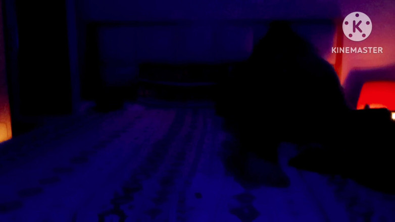 Ankita10000: Seksowna miesiąc miodowy para indyjska w pokoju hotelowym La Nivas...